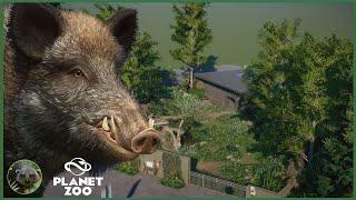 Realistic Wild Boar Enclosure | Planet Zoo | Speed Build