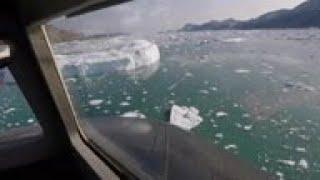 Scientists fly over Greenland to track melting ice