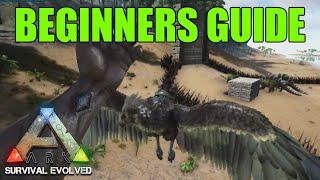 Beginners GUIDE To ARK: Survival Evolved - How to Start Playing | Slacker Gaming