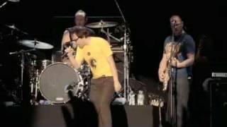 Weezer - Buddy Holly (Live @ Fuji Rock Festival '09)