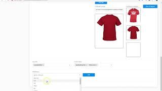 woocommerce multistore demovideo