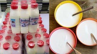 BEST WAY TO PRESERVE YOGURT AND MAKE IT LAST OVER 3 MONTHS | YOGHURT MAKING BUSINESS