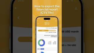 How to export the financial report (CSV file) | Tidy Money