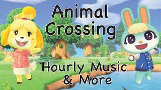 Hourly Music - Animal Crossing New Horizons MUSIC COMPILATION | Includes Background and K.K Songs