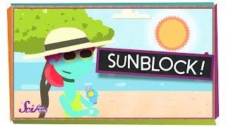Why Should You Wear Sunscreen? | Body Science for Kids
