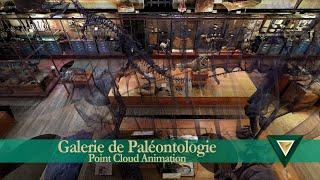 Gallery of Paleontology Point Cloud Animation