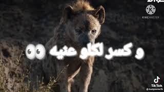 اسد وضبع وديب نزلين لبعض فى جول#_شعبيات