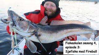Fiskeskolen sesong 4, episode 3: Sjøfiske med Fireball