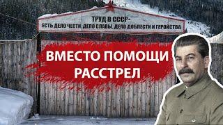 Как СССР в 1941 году, вместо того чтобы отбивать нападение Гитлера расстреливал своих людей...