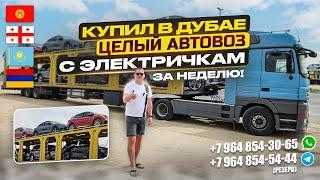 КУПИЛ В ДУБАЕ ЦЕЛЫЙ АВТОВОЗ С ЭЛЕКТРИЧКАМИ. ЗА НЕДЕЛЮ! АВТОТУР В ГРУЗИЮ!