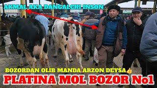 PLATINA MOL BOZOR. SIGIRLAR NARXLARI BILAN TANISHING. BOZORDAN OLASAN OLLOHDAN QO‘RQ NIQOBINGNI YECH