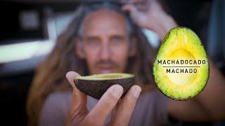 Rob Machado's Inspiration Behind The Machadocado 