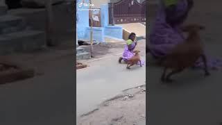 Tik tok funny videos