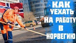 Рабочая виза в Норвегию. Как уехать на работу в Норвегию.