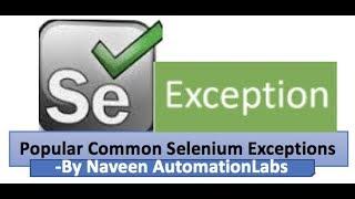 Popular Common Selenium Exceptions