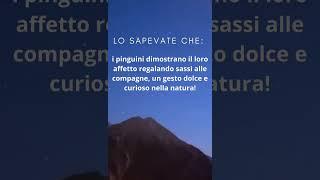 Curiosità che non sapevate