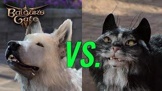 CATS vs DOGS: Speak With Animals in BG3