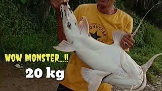 Wow..!! Mancing baung terbesar | Big Monster fish catch 20 kg