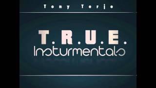 True instrumentals - Tony Terje