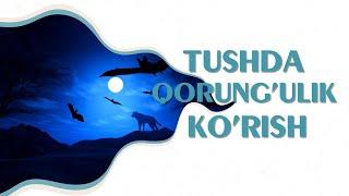 Tushlar tabiri - Tushda qorong'ulik ko'rish