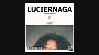 Feid x Rema Type Beat, Afrobeats Type Beat - Luciernaga