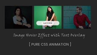 Image hover effect with text overlay | CSS Image Hover Effects