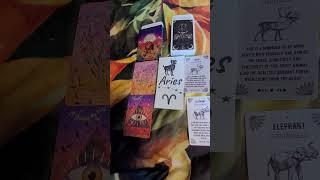 Aries - love awakens my soul - Opening my mind - gentleness - forgiveness - Oracle & Inspiration