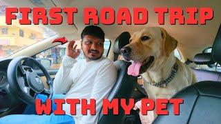 My Pet's First Road Trip! - #pets #trending