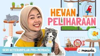 HEWAN PELIHARAAN | Belajar Keterampilan Pra Membaca