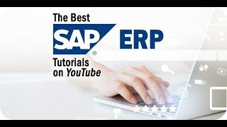 SAP ERP - SAP B1 HANA Features Demo