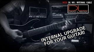 Internal upgrade for your guitar: David Laboga NR. 1