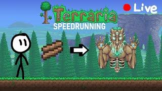 Spending 1 Year Learning How To Speedrun Terraria [Week 11]