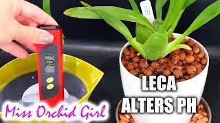 LECA alters pH - Possible solutions for Orchids in semi hydroponics