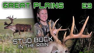 Monica's Stud Buck In The Rain, New Permission Ground In Arkansas #hunting #deerhunting