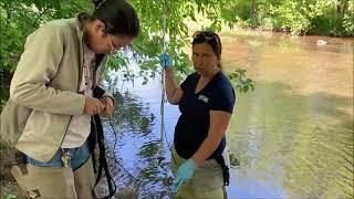 Stream Water Testing