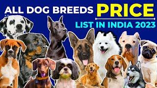 All Dog Breeds And Their Price 2024 | German Shepherd | Rottweiler | Labrador | Pug | Beagle | Husky