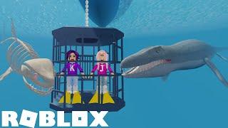 It's the WEEK of SHARKS on SHARKBITE!  / Roblox