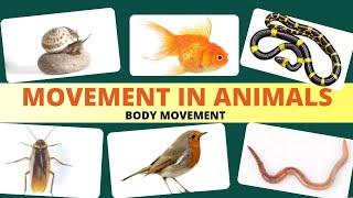 Movement in animals / Body movement / Science Class 6 Chapter 8