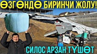 АРЗАН ТОЮТ ЧӨПТӨН АРЗАН ТҮШӨТ  #байтв