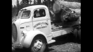 Old Ford Logging Trucks 1940s