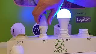 WOOX Smart LED Lighting R4553, R5076, R5077