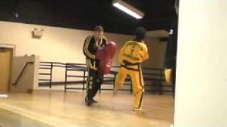 Grandmaster Kwang Jo Choi - Techniques