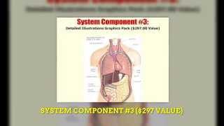 HUMAN ANATOMY PHYSIOLOGY REVIEW 2014 | human anatomy physiology course