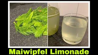 zuckerfreie Fichtennadel Limonade | Maiwipferl Rezept | Selbstversorgung