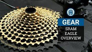 SRAM Eagle Ecosystem - 12-Speed Tech For Everyone!