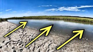 fishing TIDAL CREEKS for a delicious lunch... (catch clean cook) whole flounder