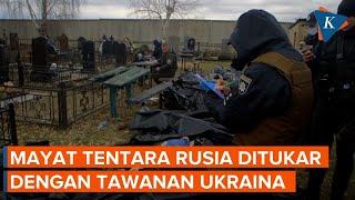 Ukraina Kumpulkan Mayat-mayat Tentara Rusia untuk Ditukar dengan Tawanan