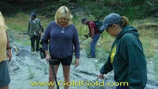 Electronic Gold Prospecting 2017 -  Just getting started