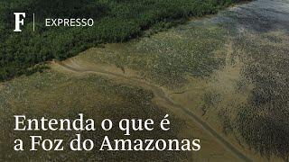 Entenda o que é a Foz do Amazonas e a polêmica em torno dela