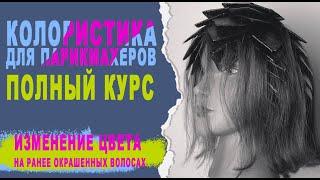 Урок 16. Полный курс по колористике. Обучение парикмахеров. Изменение цвет.